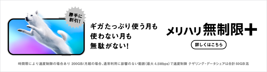 ギガたっぷり使う月も使わない月も無駄がない！メリハリ無制限＋
